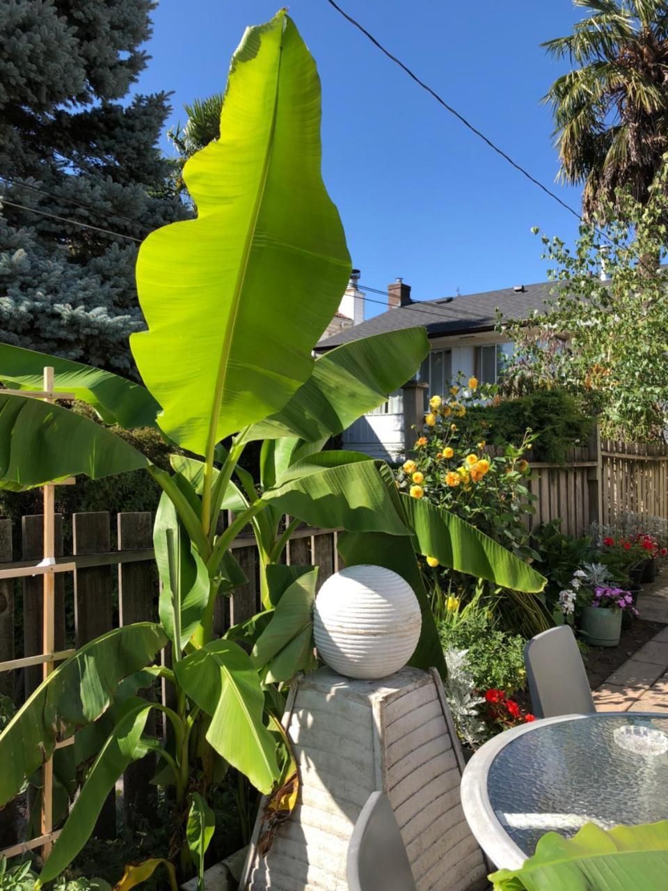 Cozy Bedrooms Guest House Vancouver Exterior photo